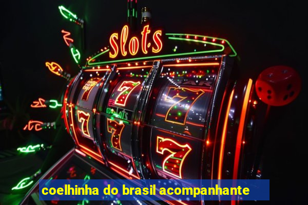 coelhinha do brasil acompanhante